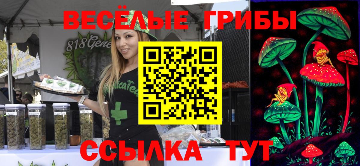 Артёмовский  Галлюциногенные грибы Psilocybe  Вход с VPN  Галлюциногенные грибы мухоморы 